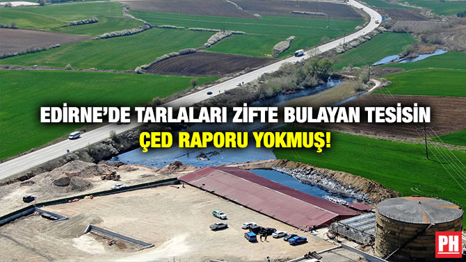 Edirne’de Tarlaları Zifte Bulayan Tesisin ÇED Raporu Yokmuş!
