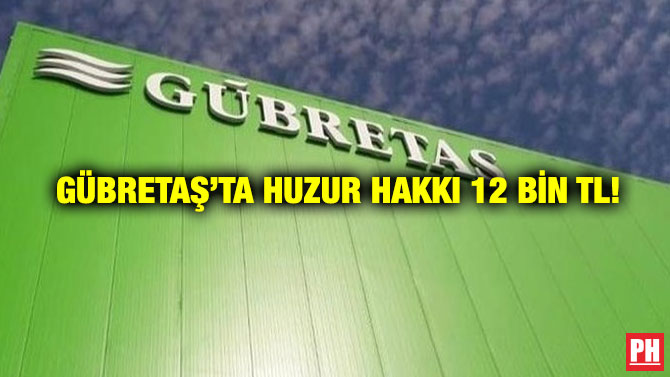 GÜBRETAŞ’ta Huzur Hakkı 12 Bin TL!