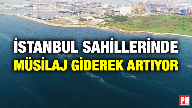 İstanbul Sahillerinde Müsilaj Giderek Artıyor