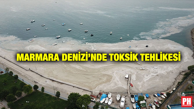 Marmara Denizi’nde Toksik Tehlikesi