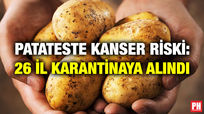Patateste Kanser Riski: 26 İl Karantinaya Alındı