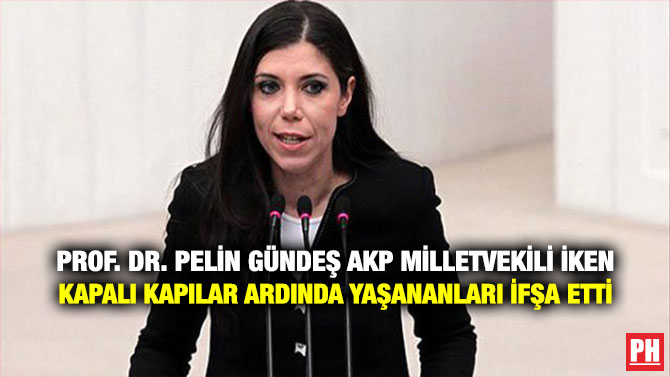 Prof. Dr. Pelin Gündeş AKP Milletvekili İken Kapalı Kapılar Ardında Yaşananları İfşa Etti