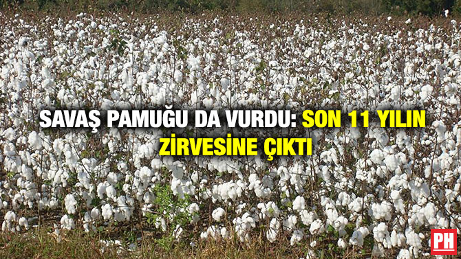 Savaş Pamuğu da Vurdu: Son 11 Yılın Zirvesine Çıktı