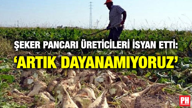 Şeker Pancarı Üreticileri İsyan Etti: ‘Artık Dayanamıyoruz’