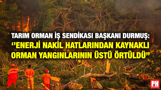 Tarım Orman İş Sendikası Başkanı Durmuş: ”Enerji Nakil Hatlarından Kaynaklı Orman Yangınlarının Üstü Örtüldü”