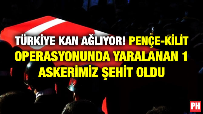 Türkiye Kan Ağlıyor! Pençe-Kilit Operasyonunda Yaralanan 1 Askerimiz Şehit Oldu