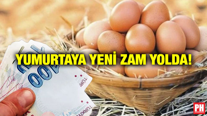 Yumurtaya Yeni Zam Yolda!