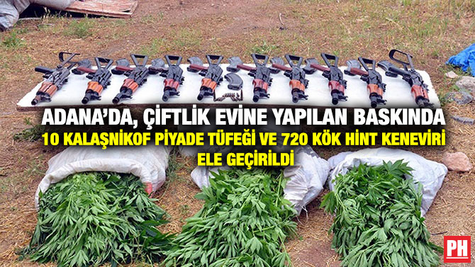 Adana’da, Çiftlik Evine Yapılan Baskında 10 Kalaşnikof Piyade Tüfeği ve 720 Kök Hint Keneviri Ele Geçirildi