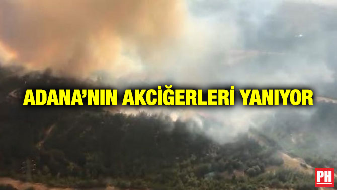Adana’nın Akciğerleri Yanıyor