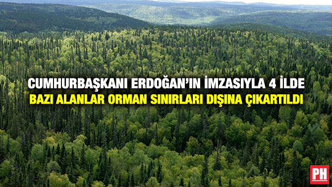 Cumhurbaşkanı Erdoğan’ın İmzasıyla 4 İlde Bazı Alanlar Orman Sınırları Dışına Çıkartıldı