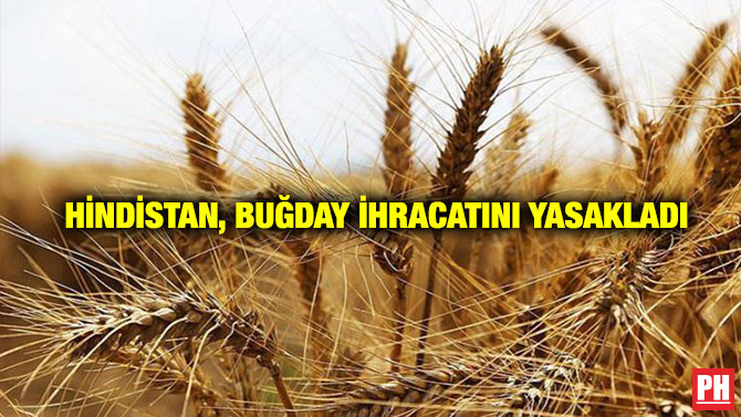 Hindistan, Buğday İhracatını Yasakladı