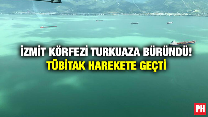 İzmit Körfezi Turkuaza Büründü! TÜBİTAK Harekete Geçti