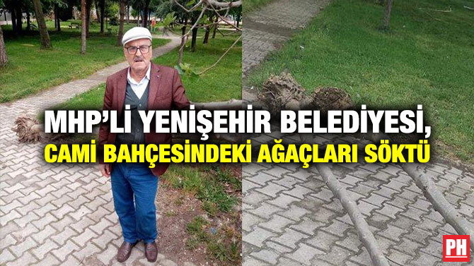 MHP’li Yenişehir Belediyesi, Cami Bahçesindeki Ağaçları Söktü