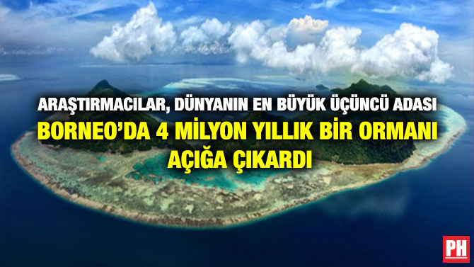 Araştırmacılar, Dünyanın En Büyük Üçüncü Adası Borneo’da 4 Milyon Yıllık Bir Ormanı Açığa Çıkardı