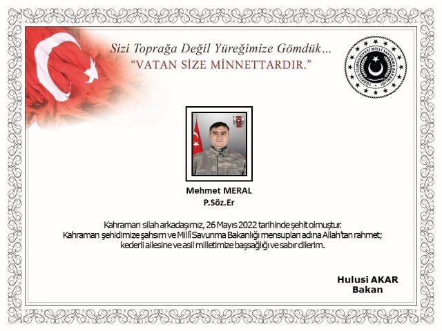 Piyade Sözleşmeli Er Mehmet Meral