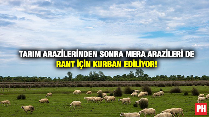 Tarım Arazilerinden Sonra Mera Arazileri de Rant İçin Kurban Ediliyor!