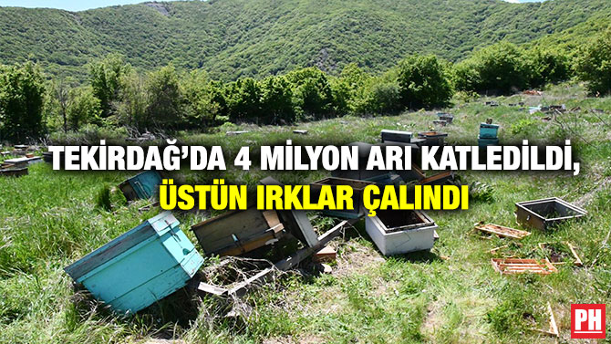 Tekirdağ’da 4 Milyon Arı Katledildi, Üstün Irklar Çalındı