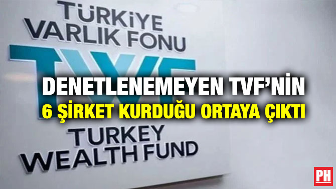 Denetlenemeyen TVF’nin 6 Şirket Kurduğu Ortaya Çıktı