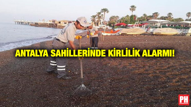 Antalya Sahillerinde Kirlilik Alarmı!