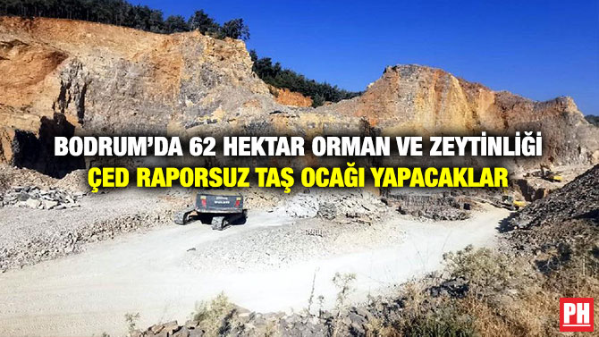 Bodrum’da 62 Hektar Orman ve Zeytinliği ÇED Raporsuz Taş Ocağı Yapacaklar