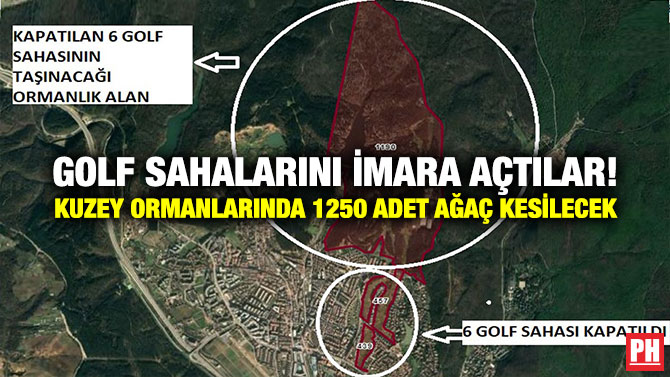 Golf Sahalarını İmara Açtılar! Kuzey Ormanlarında 1250 Adet Ağaç Kesilecek