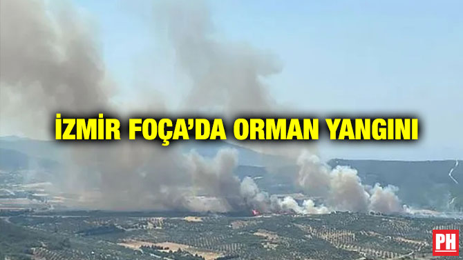 İzmir Foça’da Orman Yangını