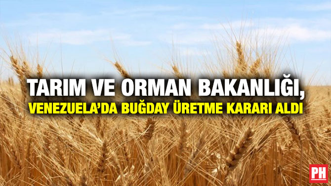 Tarım ve Orman Bakanlığı, Venezuela’da Buğday Üretme Kararı Aldı