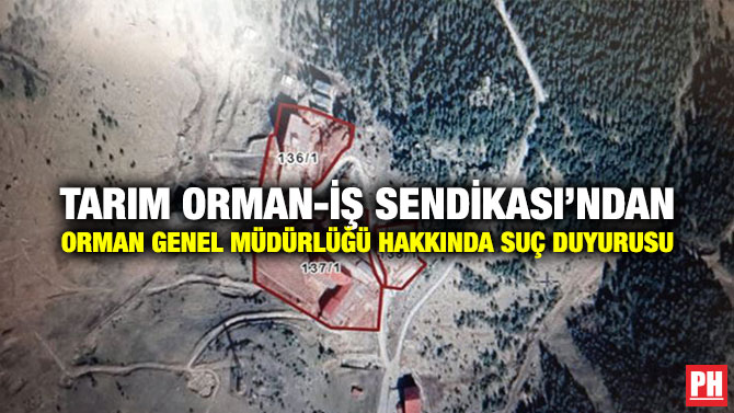 Tarım Orman-İş Sendikası’ndan Orman Genel Müdürlüğü Hakkında Suç Duyurusu