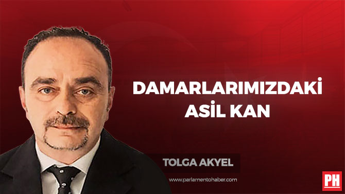 Damarlarımızdaki Asil Kan
