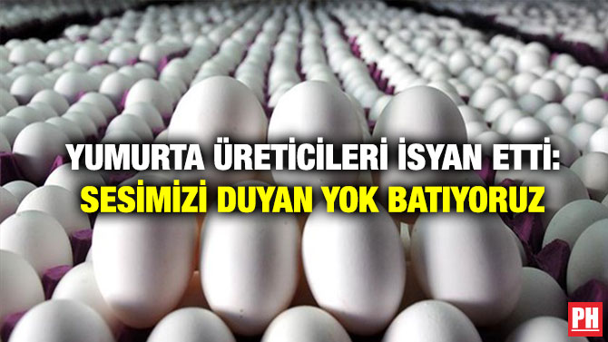 Yumurta Üreticileri İsyan Etti: Sesimizi Duyan Yok Batıyoruz