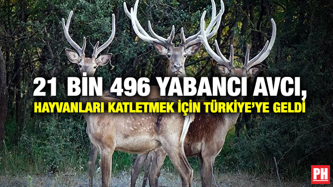 21 bin 496 Yabancı Avcı, Hayvanları Katletmek İçin Türkiye’ye Geldi