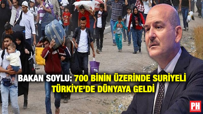 Bakan Soylu: 700 Binin Üzerinde Suriyeli Türkiye’de Dünyaya Geldi