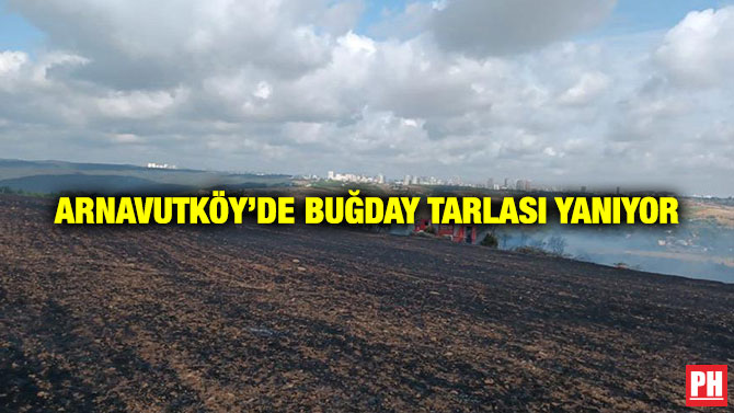 Arnavutköy’de Buğday Tarlası Yanıyor