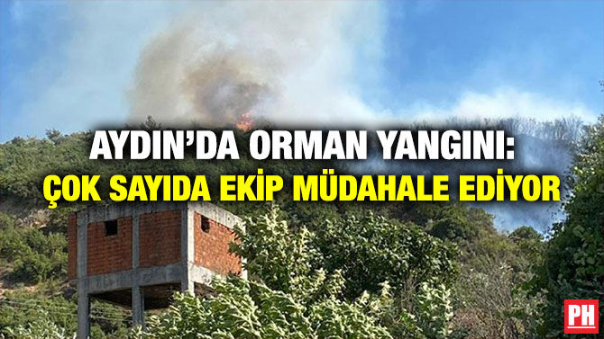 Aydın’da Orman Yangını: Çok Sayıda Ekip Müdahale Ediyor
