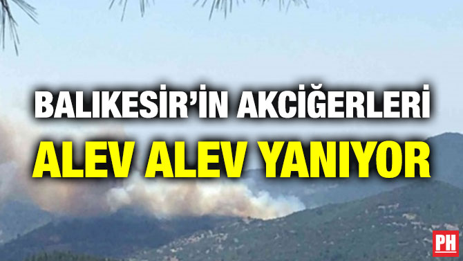 Balıkesir’in Akciğerleri Alev Alev Yanıyor