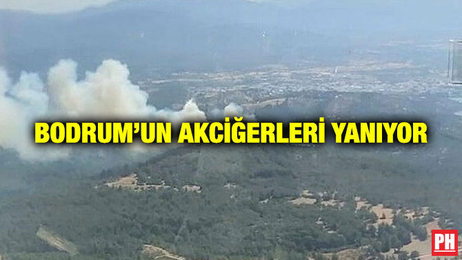 Bodrum’un Akciğerleri Yanıyor