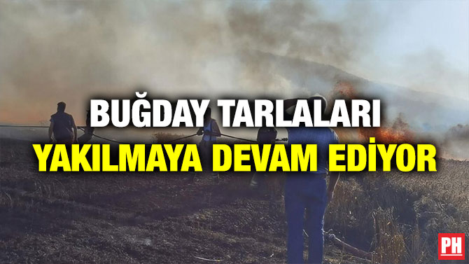 Buğday Tarlaları Yakılmaya Devam Ediyor
