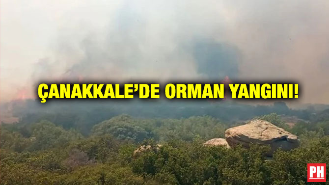 Çanakkale’de Orman Yangını!