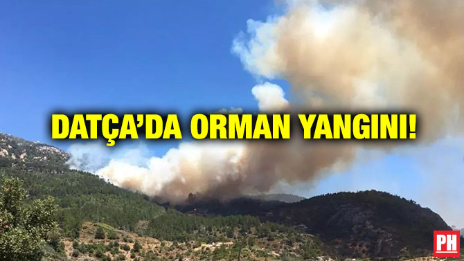 Datça’da Orman Yangını!