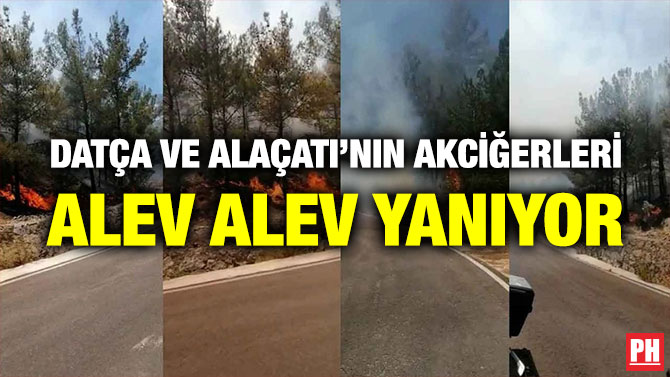 Datça ve Alaçatı’nın Akciğerleri Alev Alev Yanıyor