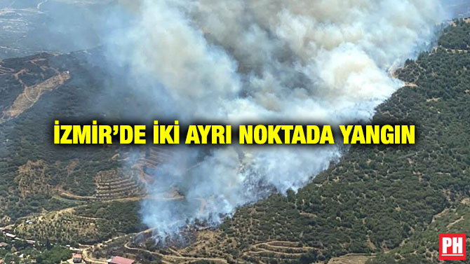 İzmir’de İki Ayrı Noktada Yangın