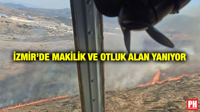 İzmir’de Makilik ve Otluk Alan Yanıyor