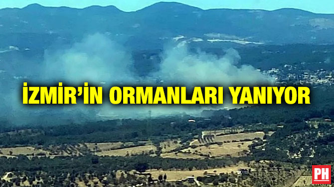 İzmir’in Ormanları Yanıyor