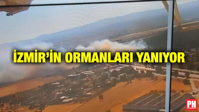 İzmir’in Ormanları Yanıyor