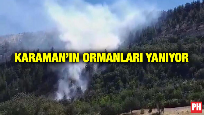 Karaman’ın Ormanları Yanıyor
