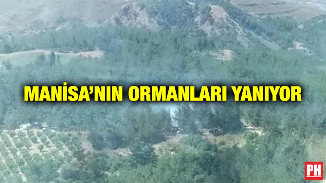 Manisa’nın Ormanları Yanıyor