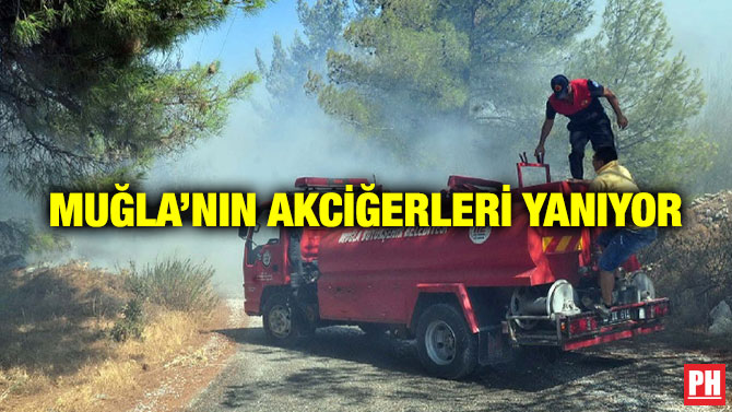Muğla’nın Akciğerleri Yanıyor