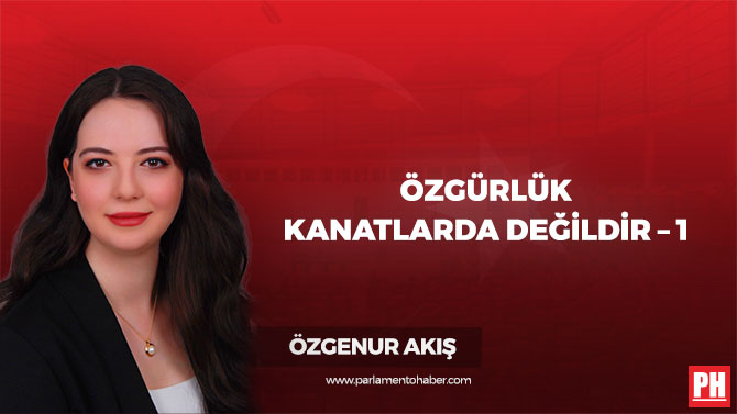 Özgürlük Kanatlarda Değildir – 1