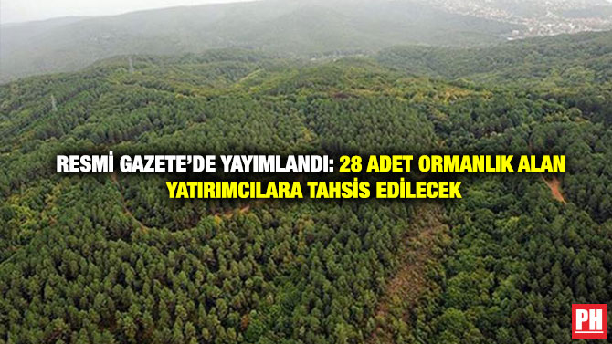 Resmi Gazete’de Yayımlandı: 28 Adet Ormanlık Alan Yatırımcılara Tahsis Edilecek