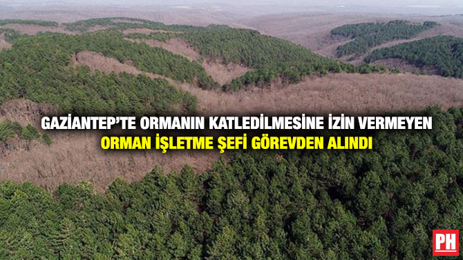 Gaziantep’te Ormanın Katledilmesine İzin Vermeyen Orman İşletme Şefi Görevden Alındı